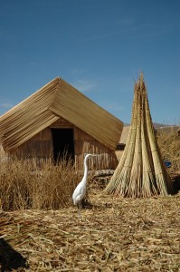 heron-on-uros-islands-2